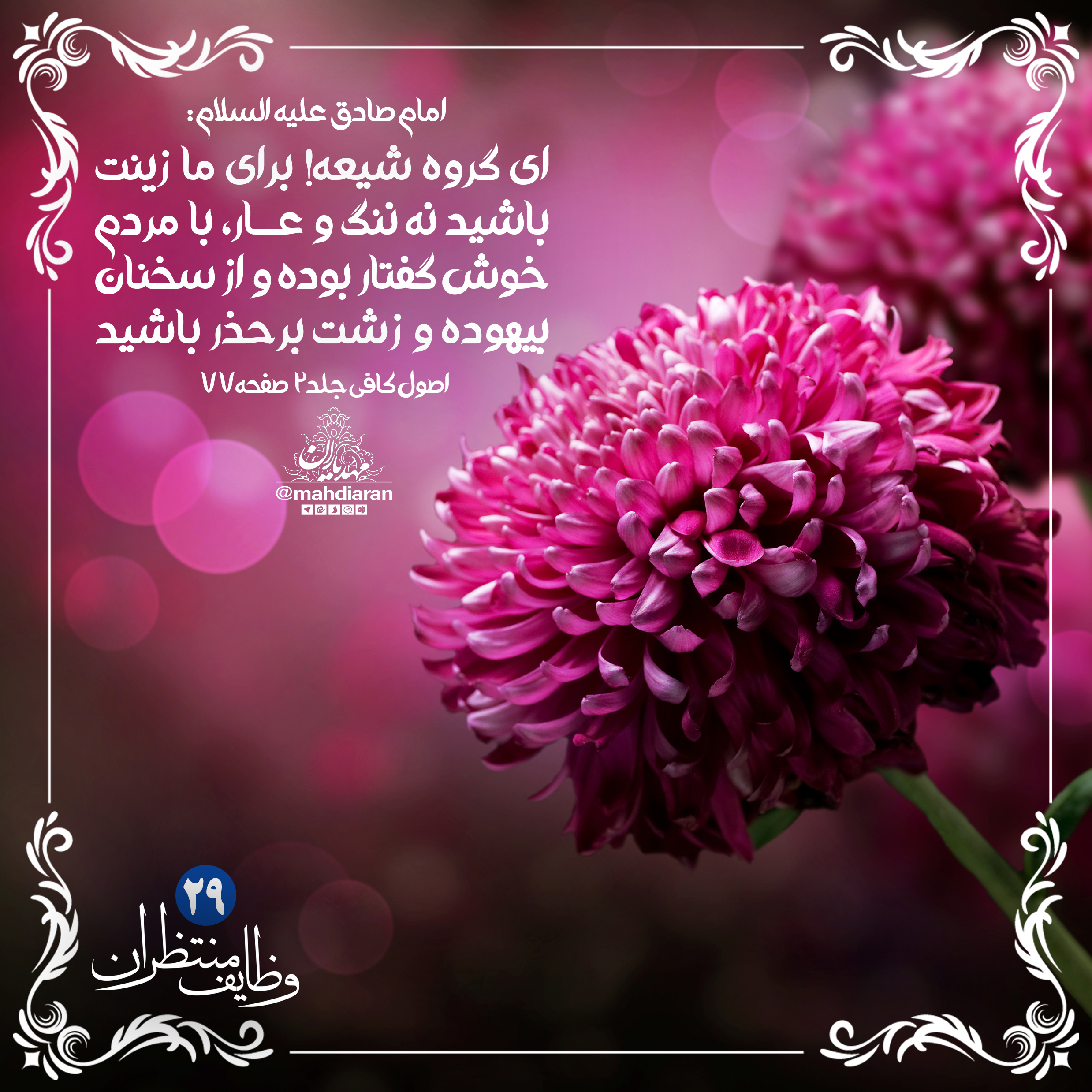 موسسه مصاف - زینتِ صاحب الزمان باشیم