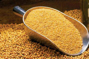 جایگزین های مناسب برای کنجاله سویا در جیره غذایی طیور