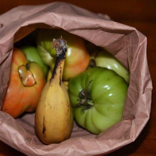 گر میوه های کال دارید