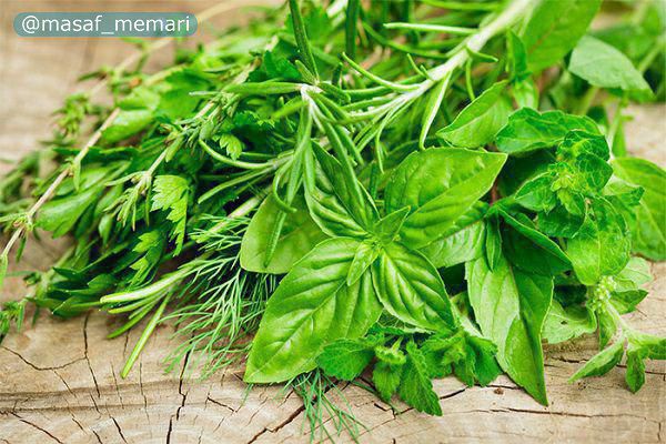 استفاده از گیاهان دارویی در فضای شهری | وارد کردن گیاهان دارویی در فهرست گیاهان مناسب برای فضای سبز.