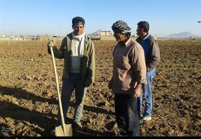چرا باید کشاورز در اوج نیاز به کود اوره،هراسان بماند؟اونم جایی که کارخانه پتروشیمی در چند قدمی ما قرار داره؟