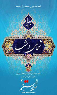 دانلود کتاب صوتی «شهابی در شب»