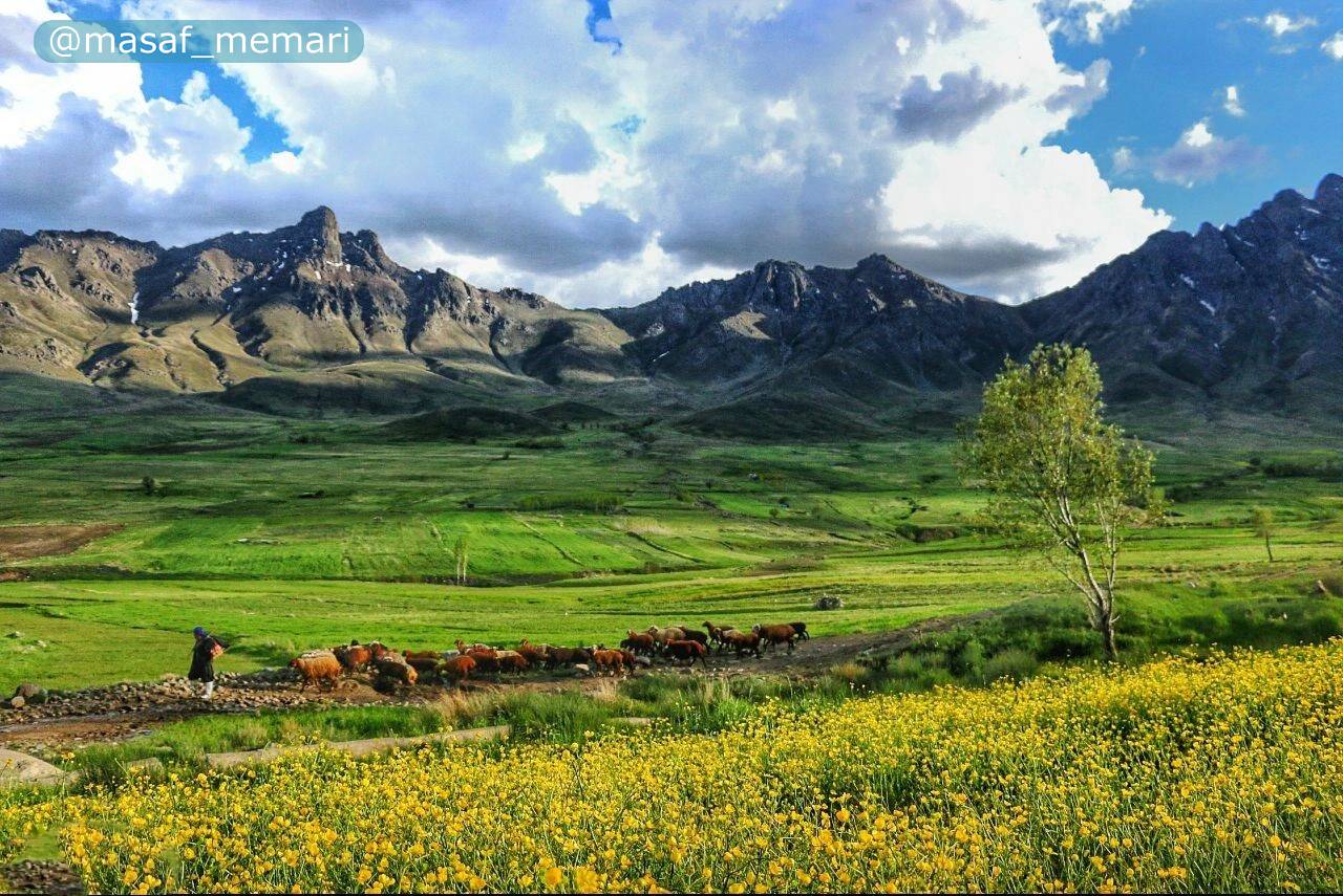 تاثیر مدرنیته بر آیات الهی